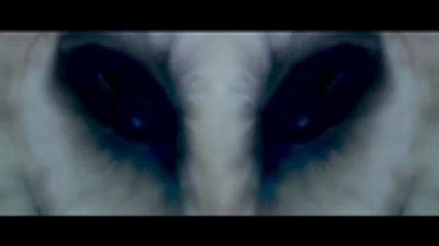 NOIR - THE FOURTH KIND - DUBSTEP смотреть онлайн