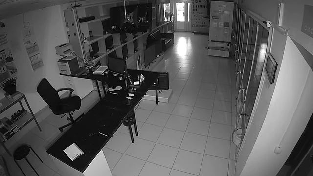 Polyvision PQ-IP2-B2.8MAW v.5.5.1 ЧБ + Переключение в Цвет смотреть онлайн