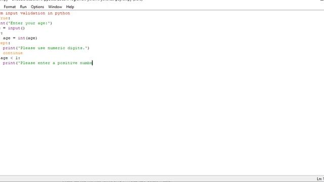 perform input validation in Python смотреть онлайн
