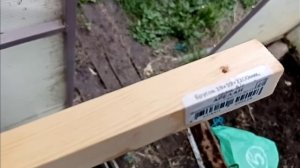 Продавило снегом поликарбонат на теплице. Усиливаем теплицу и готовим к зиме.