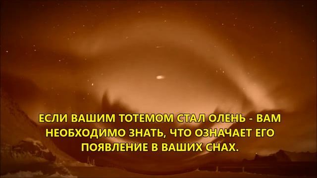 ВАШ ТОТЕМ - ОЛЕНЬ смотреть онлайн