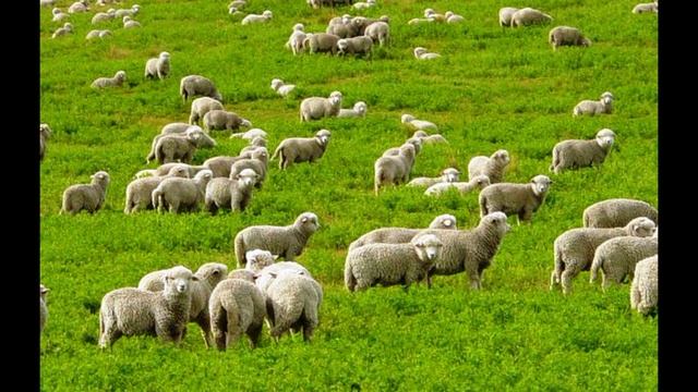 Празднование Рождества: история и легенды смотреть онлайн