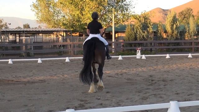 Rosie & Carlee Holden - Second Level Test 2 - November 2012 PGF Dressage Schooling Show смотреть онлайн