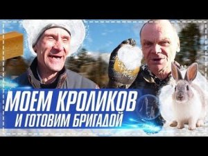 Дядя Юра и Бригада Моют Кроликов / Новые Крутые Клетки Готовы / Готовим в Тандыре