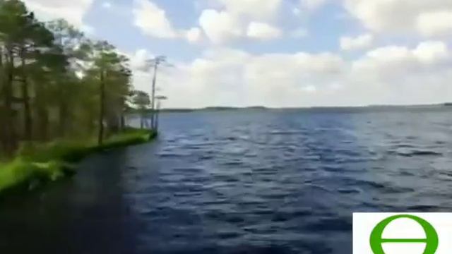 "Зелёный океан Земли". смотреть онлайн