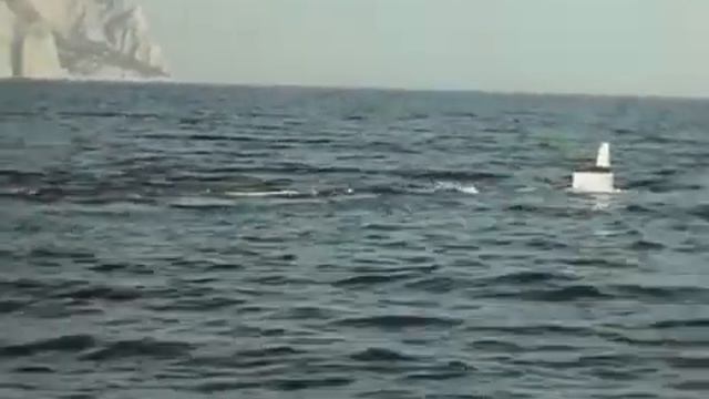 Слушать в Отсеках. Рогаликовы Кусты натрал смотреть онлайн