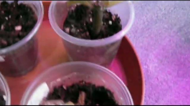 Эписции можно спасти смотреть онлайн