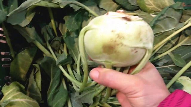 Карантин. Венгрия, г. Нодьканижа, 23.03.2020 г. Обстановка в магазине TESCO смотреть онлайн