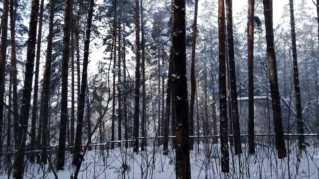 БОГИ Куражутся смотреть онлайн