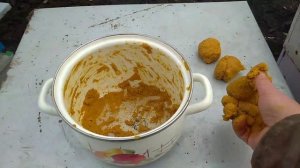 Белковая подкормка для пчел. Чем подкормить, если мало перги?