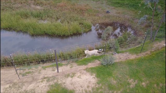 Swinburne 2017 - Mavic pro/GoPro edit смотреть онлайн