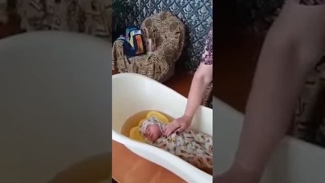 Как купать новорожденных . Ева ))) смотреть онлайн