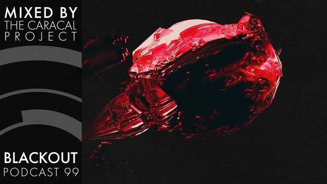 Blackout Podcast 99 -The Caracal Project смотреть онлайн