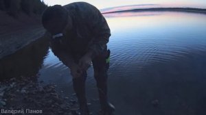 как мы ловили стерлядь / копаем миногу / ночная рыбалка на каменистом берегу реки