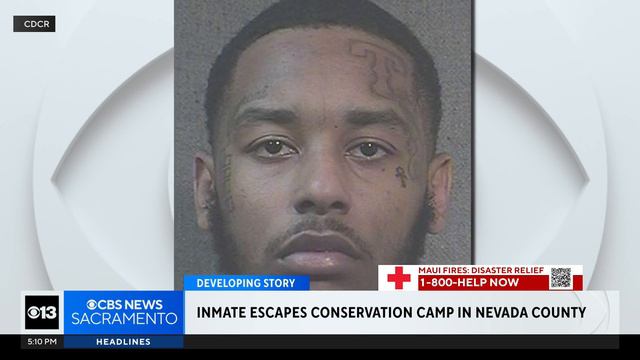 Inmate escapes conservation camp in Nevada County смотреть онлайн