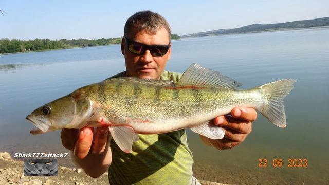 Судак-Щука.Клёвая Рыбалка На живца. смотреть онлайн