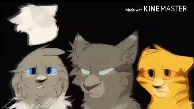 Коты-воители: "Шёпот в темноте" смотреть онлайн