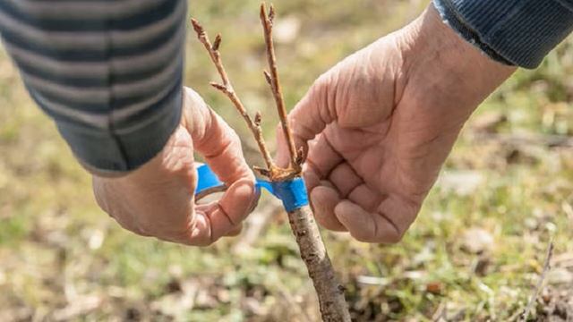 Шестая ошибка в воспитании детей смотреть онлайн