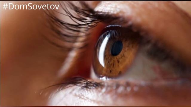 Абрикосы-польза для здоровья. МОРОЗИМ АБРИКОСЫ НА ЗИМУ #DomSovetov смотреть онлайн