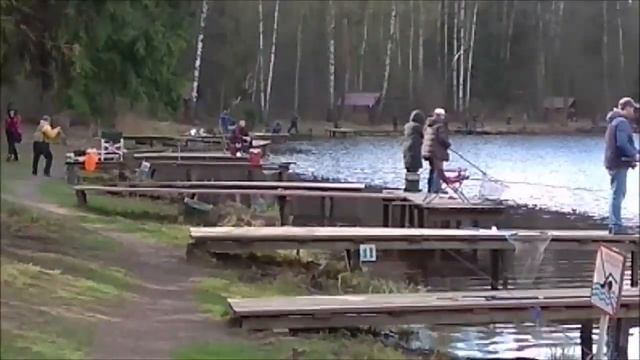 Форель ловится по всей акватории в разных горизонтах. Клёвое место, Лосиный остров, верхний водоём. смотреть онлайн