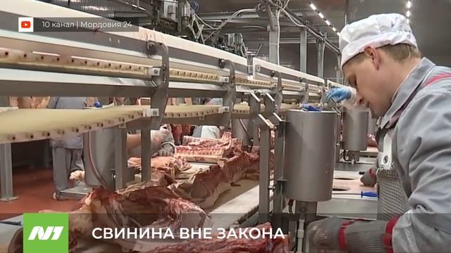 СВИНИНА ВНЕ ЗАКОНА смотреть онлайн