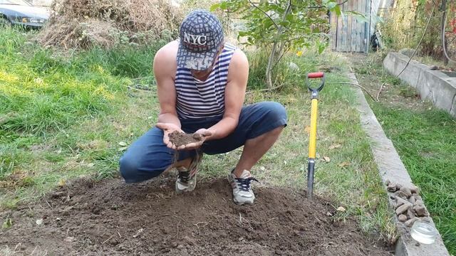9 Розовый Алмаз начал вырастать (3).mp4 смотреть онлайн