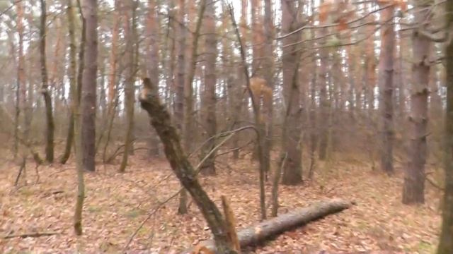 "Возлюби врага своего". Ответ подписчику. Мое понимание. смотреть онлайн