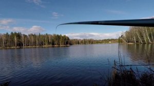 Ловля плотвы на боковой кивок