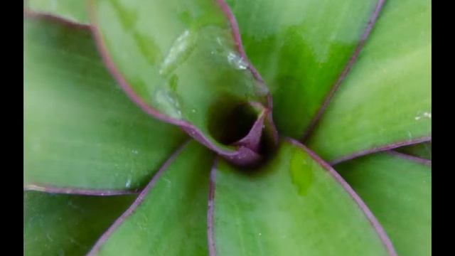 Sigma 17-50mm f 2.8 on a Nikon D5100 Sample Photos смотреть онлайн