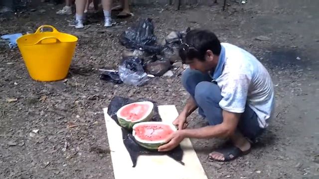 Экскурсия на оз.Рица и Гегский водопад. 2015 г. Видео 40 смотреть онлайн