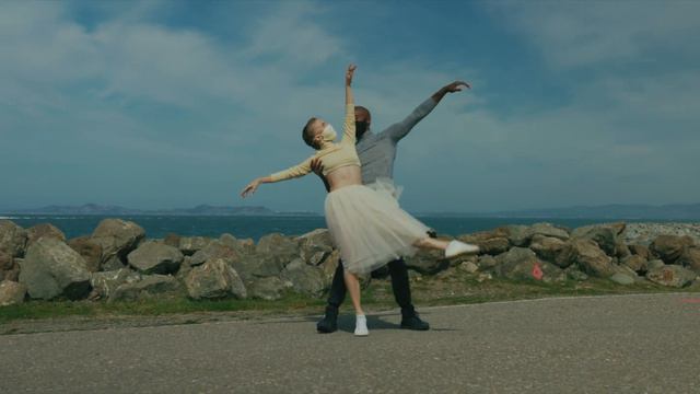 Swan Lake