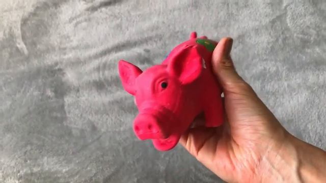 Что нужно купить для щенка чихуахуа-минимальный набор. смотреть онлайн