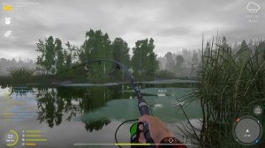 Narga. Fortuna carp. Покупаем карповое удилище и отправляемся тестировать! Русская рыбалка 4. РР4.