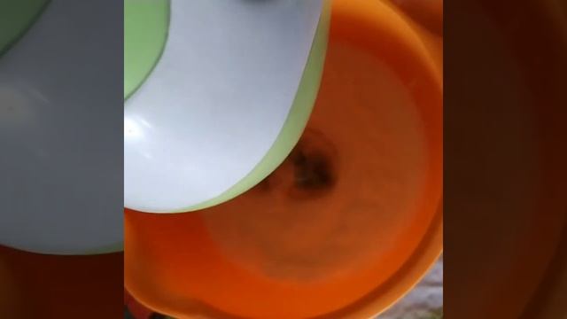 Спортивные Моменты и Экстрим-спорт