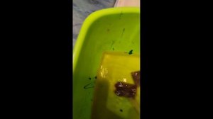 делаем травник???