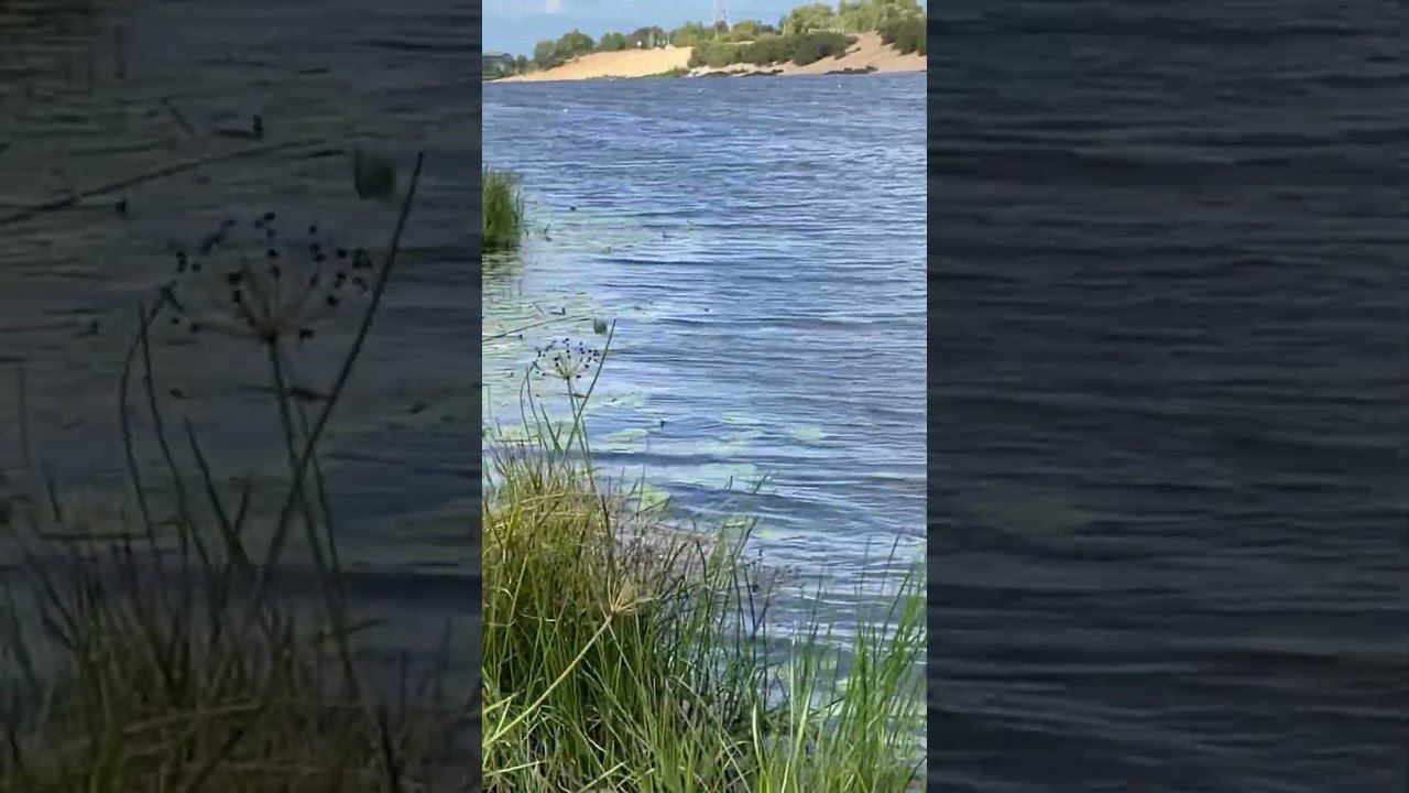 Отвалилась рыба #рыбалкакстово #плотва смотреть онлайн