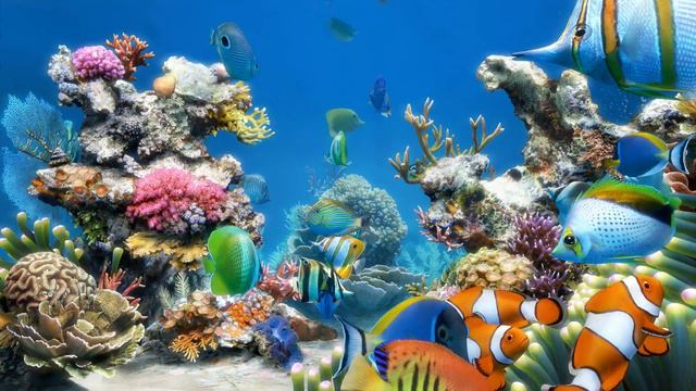 Sim Aquarium scene 2 (4K) смотреть онлайн