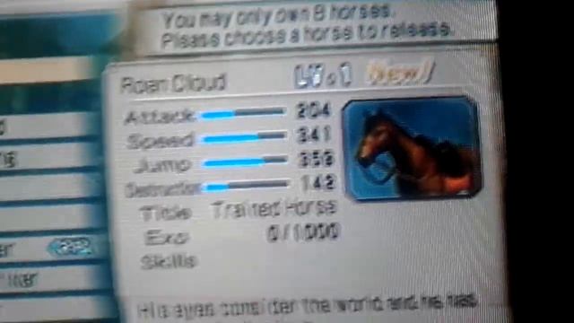 King horse DW6 ps2 смотреть онлайн
