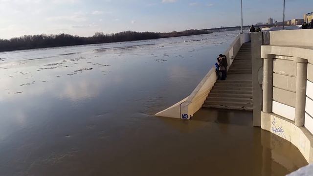 Омск паводок на Иртыше 2018 смотреть онлайн