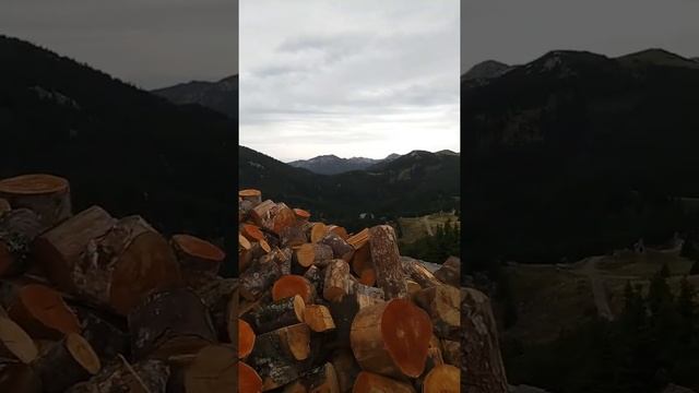Хорватия, буковые леса смотреть онлайн