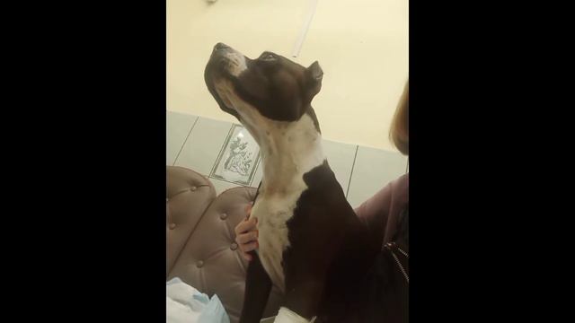 ПЕРВОЕ ВИДЕО///ВЛОГ// СОФИЯ МОРЕ🦋💓 смотреть онлайн