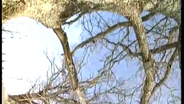 (ЯНКА КУПАЛА) "Дакументальны фiльм" смотреть онлайн