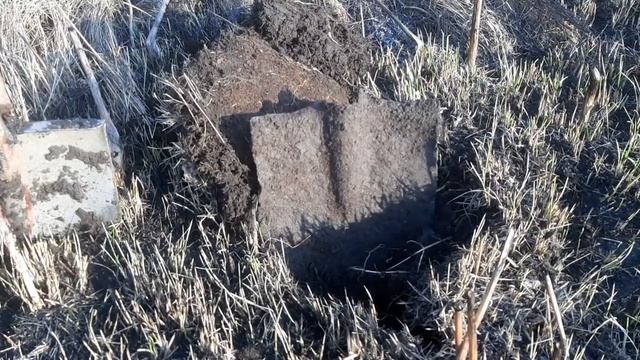 Металлокоп открытие сезона 2023 смотреть онлайн