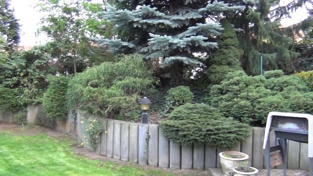 Sony HDR PJ260 video test смотреть онлайн