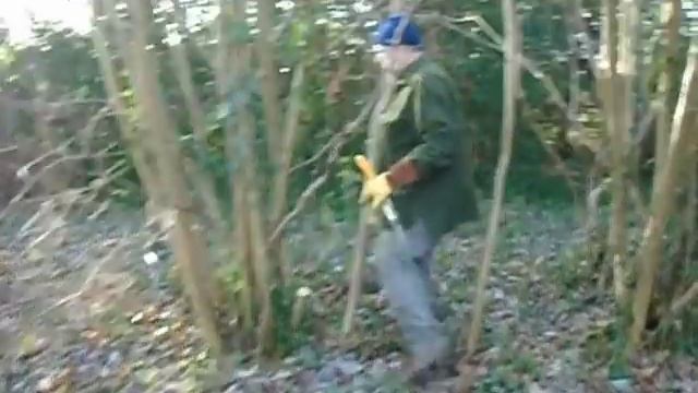 Silky forestry saws Katanaboy 500mm versus Big Boy смотреть онлайн