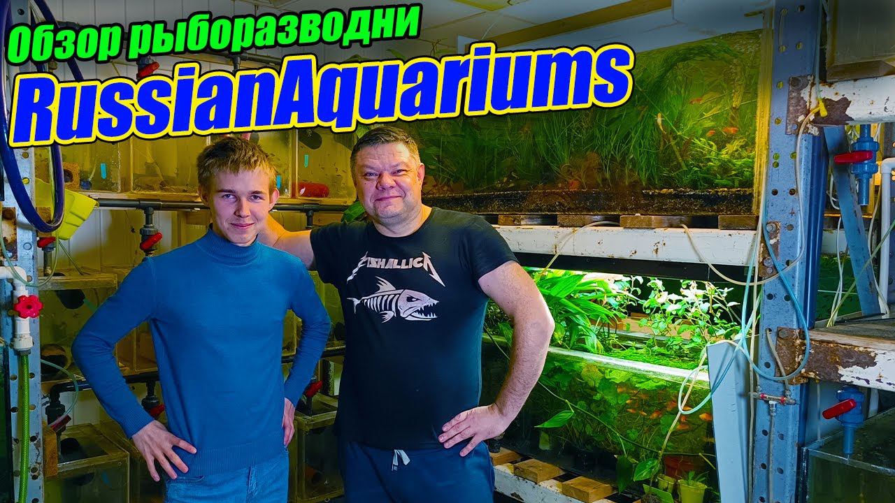 В гостях у Русских Аквариумов [Russian Aquariums] смотреть онлайн