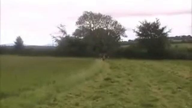 Cutting Hay смотреть онлайн