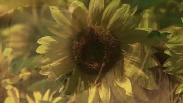 Кевин Керн - Вспомнил детство - Kevin Kern - Childhood Remembered