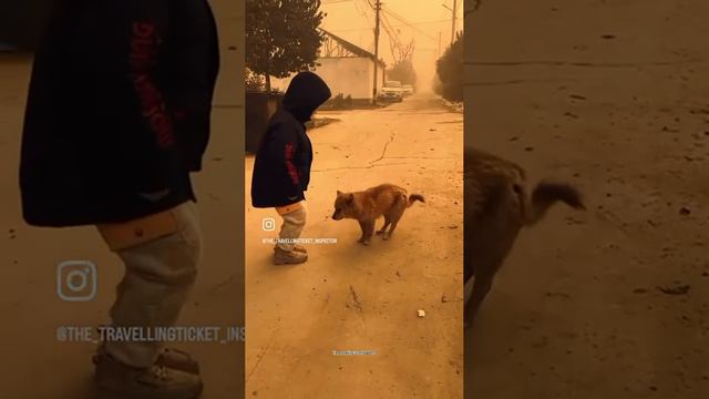 😂😂😂 смотреть онлайн