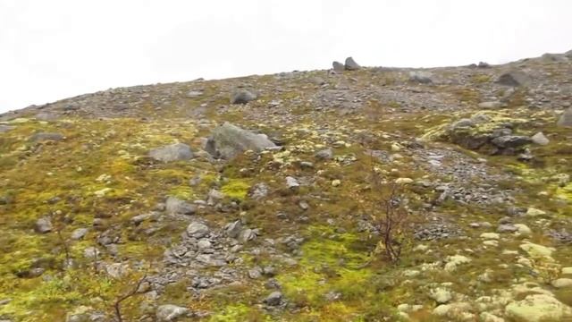 УЩЕЛЬЕ РАМЗАЯ -ХИБИНЫ КОЛЬСКОГО П-ВА смотреть онлайн